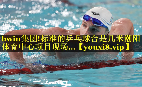 bwin集团!标准的乒乓球台是几米潮阳体育中心项目现场…